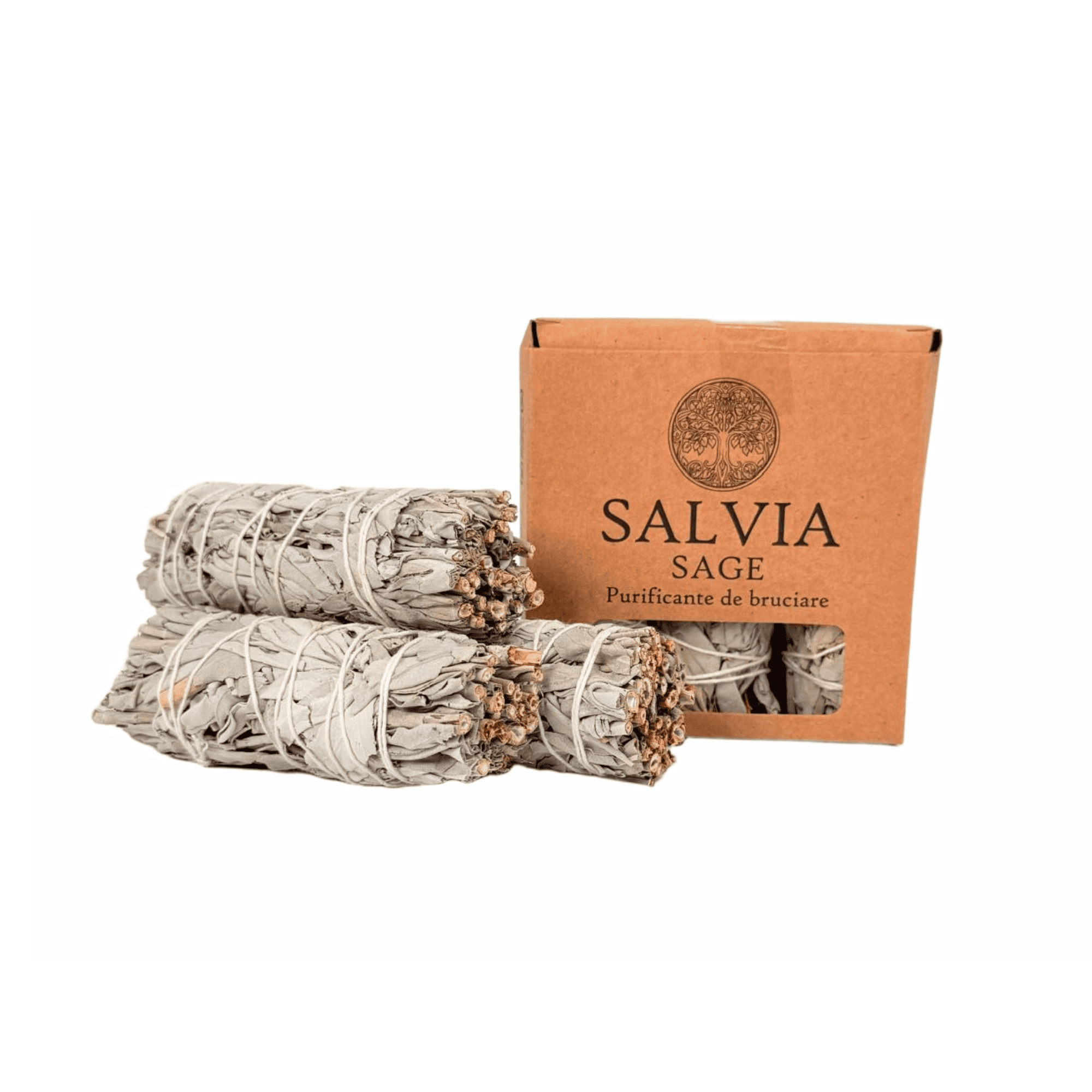 Salvia Salvia (confezione da 3)